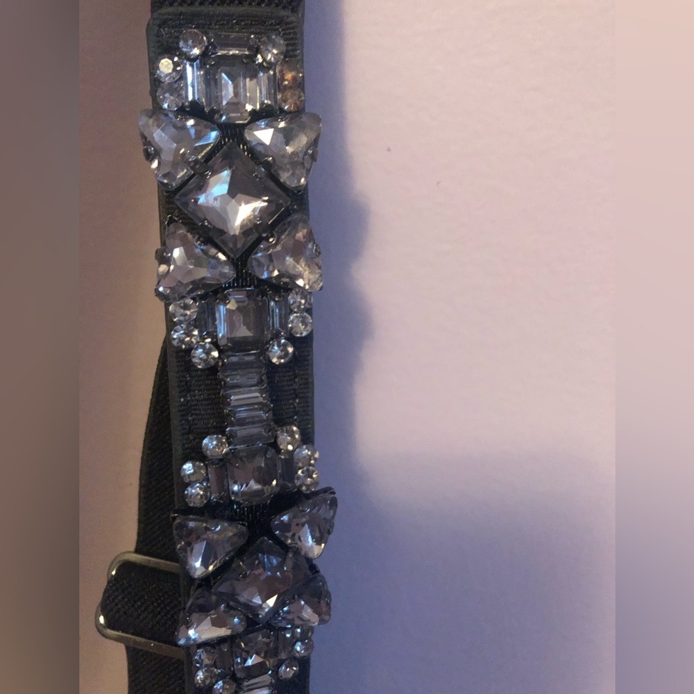 NWT  BCBG Max Azria Bejewelled Belt